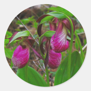 Pegatina Redonda Lady Slipper