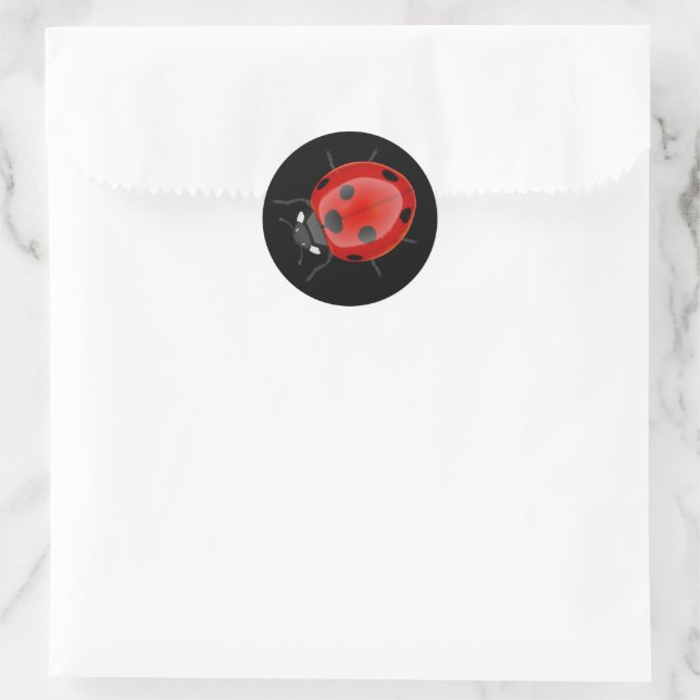 Pegatina Redonda Ladybug (Bolso)