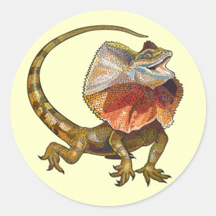 Pegatina Redonda lagarto de cuello frito