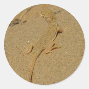Pegatina Redonda Lagarto de Dedos Franjeados de Mojave
