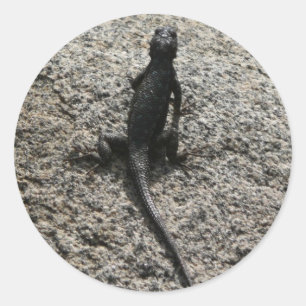 Pegatina Redonda Lagarto Negro
