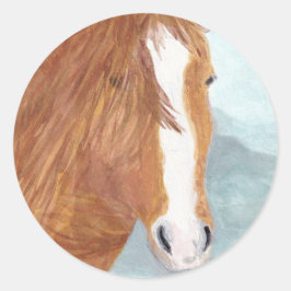 Pegatina Redonda Lago Brown Wild Horse Blue Mountain - acrílico.
