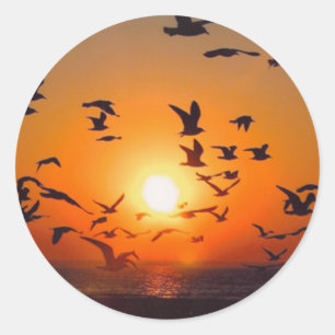 Pegatina Redonda Lago Erie Sunset
