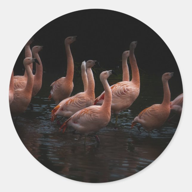 Pegatina Redonda Lago Flamingo (Anverso)