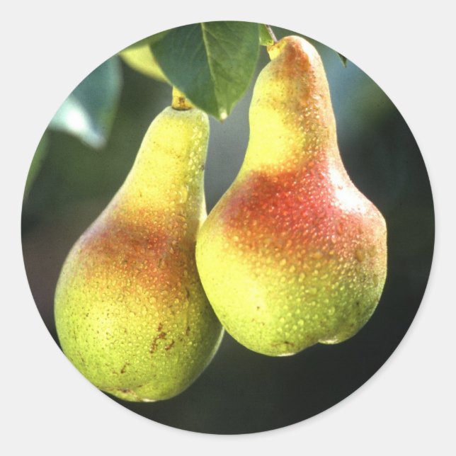 Pegatina Redonda Lágrimas (Anverso)