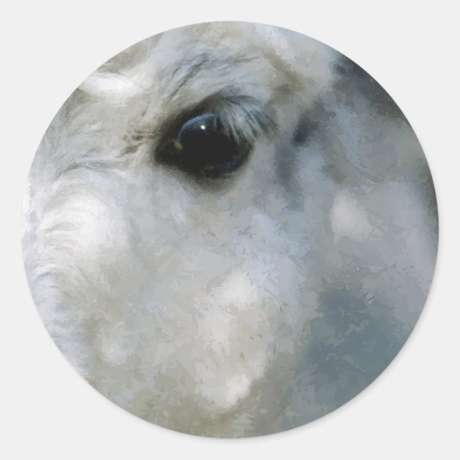 Pegatina Redonda Lama (Anverso)