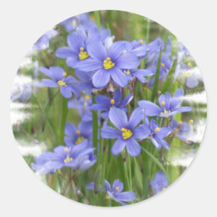 Pegatina Redonda Larkspurs