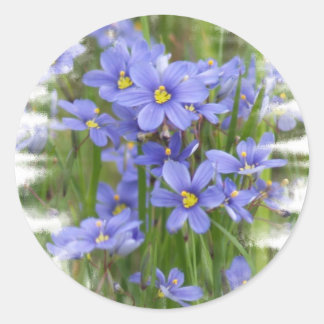 Pegatina Redonda Larkspurs