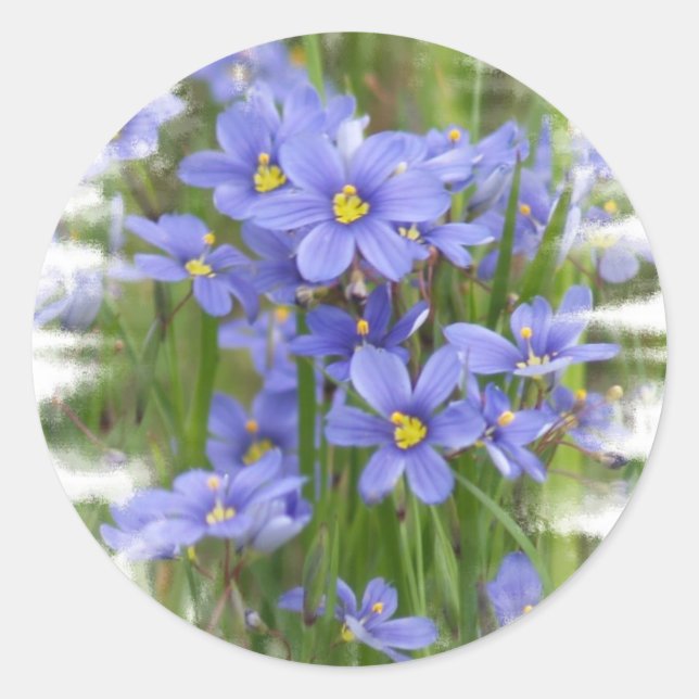 Pegatina Redonda Larkspurs (Anverso)