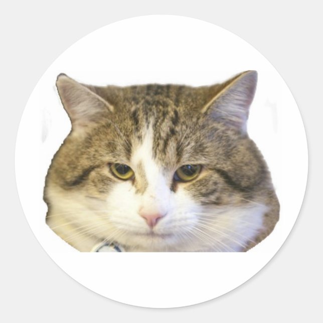 Pegatina Redonda Larry el Downing Street Cat Face (Anverso)