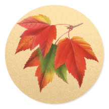 Las hojas de otoño caen coloridas hojas de arce so