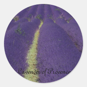 Pegatina Redonda Lavanda de Provenza