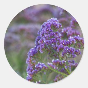 Pegatina Redonda Lavanda junto al océano