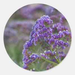 Pegatina Redonda Lavanda junto al océano