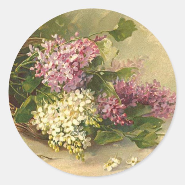 Pegatina Redonda Lavander y la belleza blanca (Anverso)