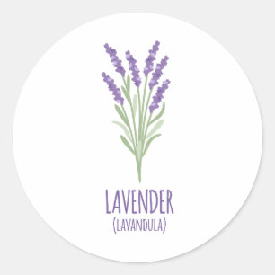 Pegatina Redonda Lavandula de la lavanda