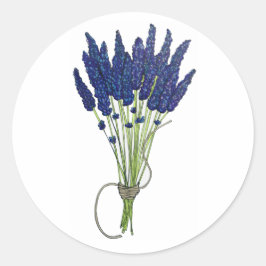 Pegatina Redonda Lavandula Lavender Bunch Herb Purple Flower Garden