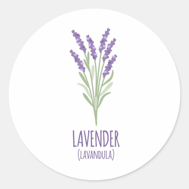 Pegatina Redonda Lavender Lavandula (Anverso)