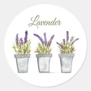 Pegatina Redonda Lavender Watercolor hierbas Cocina Morada