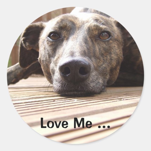 Pegatina Redonda Lazy Lurcher (Anverso)