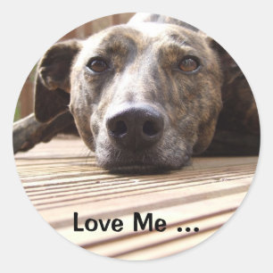 Pegatina Redonda Lazy Lurcher
