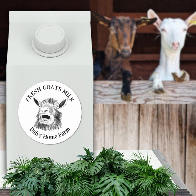 Pegatina Redonda Leche de Cabra Cabra Gritando Divertida (Fresh goats milk custom business name black and white produce label with funny screaming goat art)