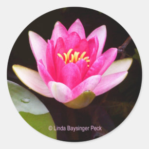 Pegatina Redonda Leche rosa