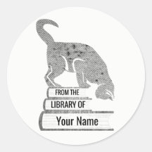 Lector de matrículas de gato negro en estilo de se