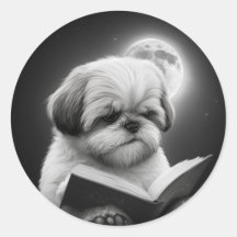 Lectura de libro Shih Tzu