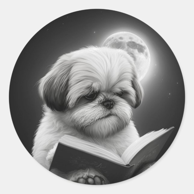 Pegatina Redonda Lectura de libro Shih Tzu (Anverso)