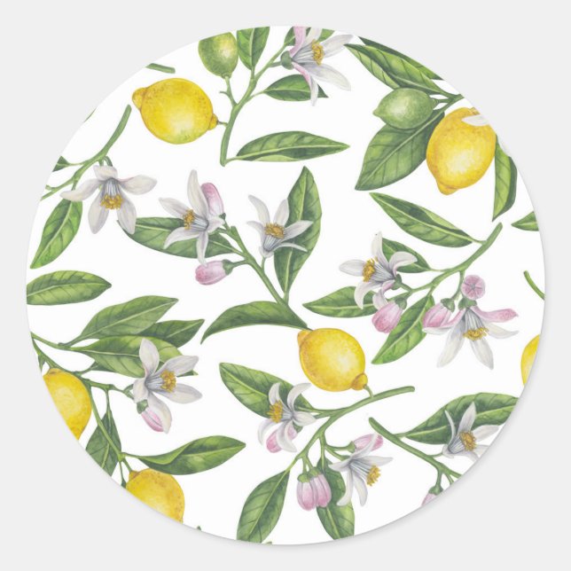 Pegatina Redonda Lemon branches with blossoms and fruit on white (Anverso)