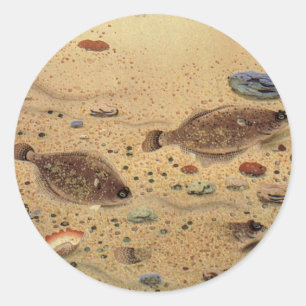 Pegatina Redonda Lenguados o Peces Planos, Vida Marina Oceánica Vin