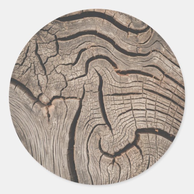 Pegatina Redonda Leños de árbol de madera de moda (Anverso)