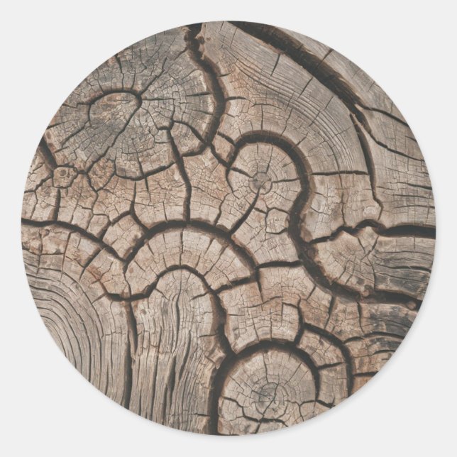 Pegatina Redonda Leños de árbol de madera de moda (Anverso)