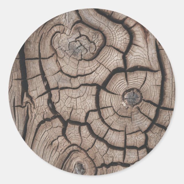 Pegatina Redonda Leños De Madera De Árbol De Moda (Anverso)