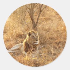 Pegatina Redonda León