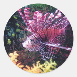 Pegatina Redonda León de Fiji