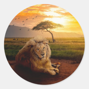 Pegatina Redonda León majestuoso en África al atardecer