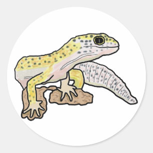 Pegatina Redonda Leopard Gecko