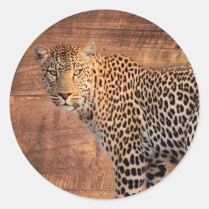 Pegatina Redonda Leopardo