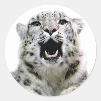 Pegatina Redonda Leopardo de la nieve