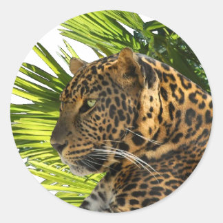 PEGATINA REDONDA LEOPARDO Y PALMAS