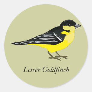 Pegatina Redonda Lesser goldfinch