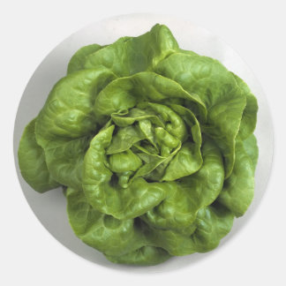 Pegatina Redonda Lettuce Fresh