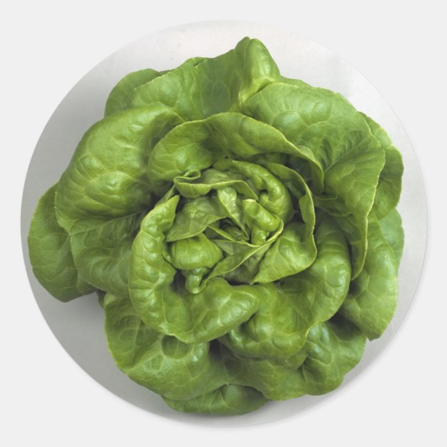 Pegatina Redonda Lettuce Fresh (Anverso)