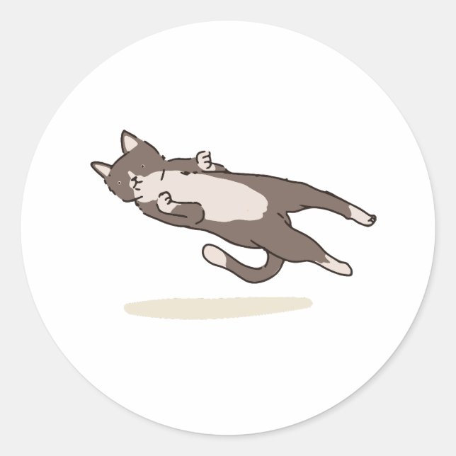 Pegatina Redonda Levitating Cat sticker (Anverso)
