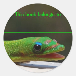 Pegatina Redonda Leyendo reptil, este libro pertenece a