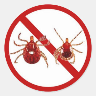 Pegatina Redonda LG. Pegatinas, conciencia de la enfermedad de Lyme