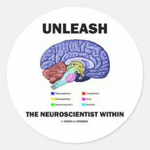 Pegatina Redonda Liberar Al Neurocientífico Dentro (Anatomía Cere