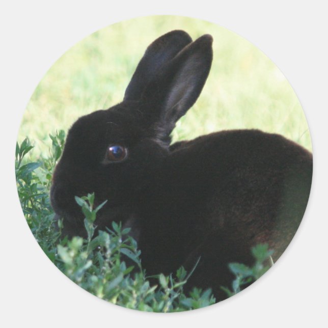 Pegatina Redonda Lil Black Bunny (Anverso)
